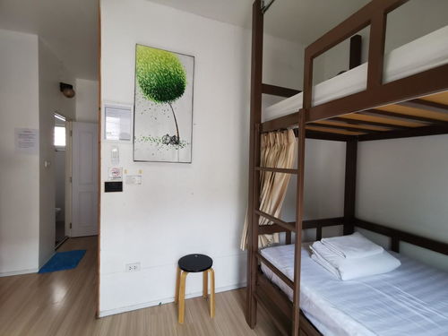 探索清邁新潮流 Bunk Boutique Hostel Chiang Mai雙層精品旅館，Agoda輕松訂房體驗